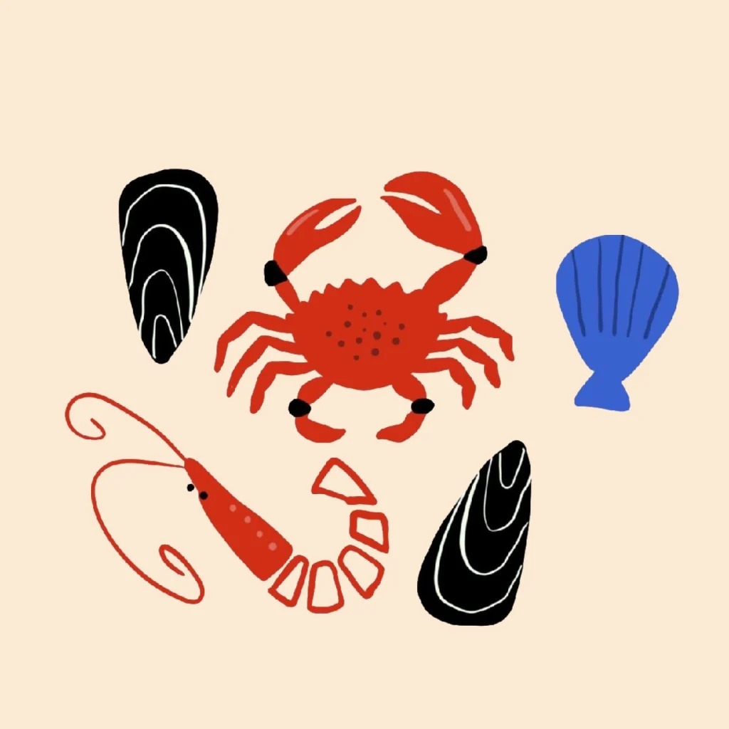 Let's Taste Seafood That Can Get Good Quality Animal Protein