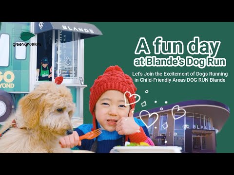 A Fun Day At Blande's Dog Run
